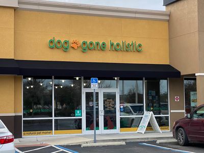 Dog Gone Holistic