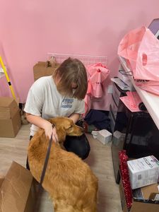 Woof Gang Bakery & Grooming Valrico photo 34