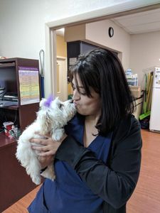 Noah's Ark Animal Hospital