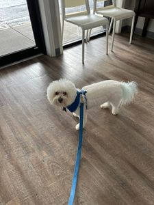 Riverview Veterinary Hospital