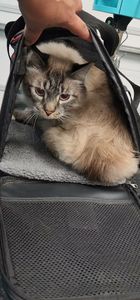 Fur Slayer LLC photo 2