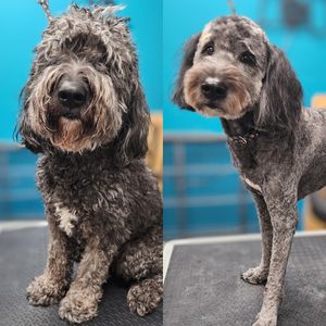 Fur Slayer LLC photo 3