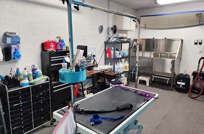 Fur Slayer LLC photo 8