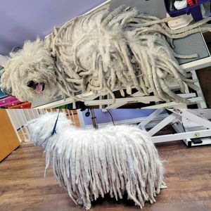 Fur Slayer LLC photo 14