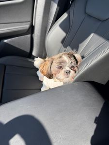 Fur Slayer LLC photo 18