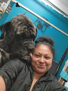 Fur Slayer LLC photo 19