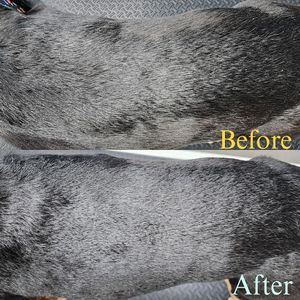 Fur Slayer LLC photo 32