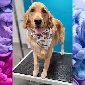 Fur Slayer LLC photo 35