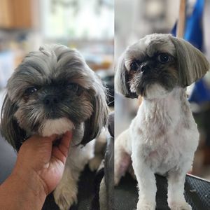 Fur Slayer LLC photo 36