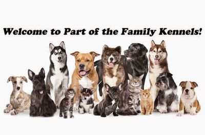 Part of the Family Kennels