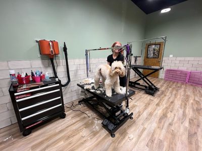 Max’s Pet Market & Salon (Mirada location) photo 6