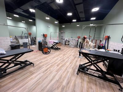 Max’s Pet Market & Salon (Mirada location) photo 27