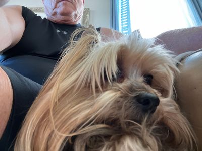 Mike's Pet Sitting in Apollo Beach