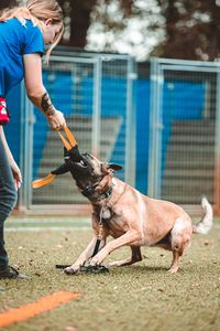 Unleash Fido-Tampa