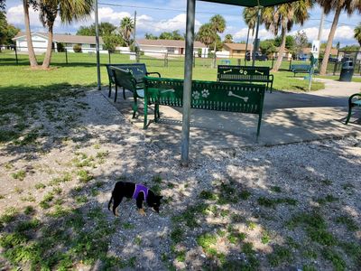 Apollo Beach Dog Park