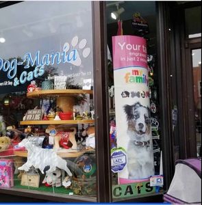 Dog-Mania & Cats photo 3