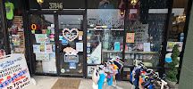 Dog-Mania & Cats