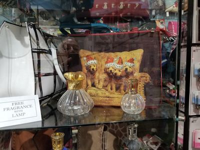 Dog-Mania & Cats photo 21