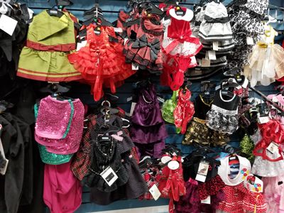 Dog-Mania & Cats photo 26