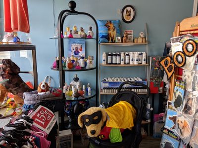 Dog-Mania & Cats photo 39