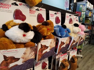 Dog-Mania & Cats photo 40