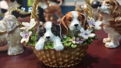 Dog-Mania & Cats photo 42