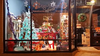 Dog-Mania & Cats photo 44