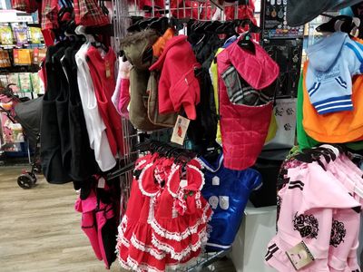 Dog-Mania & Cats photo 45