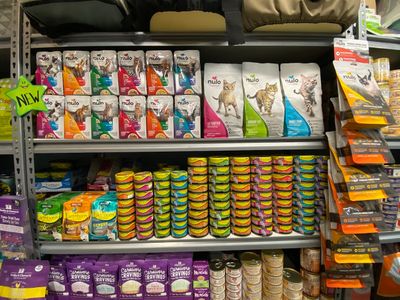 Dog-Mania & Cats photo 49