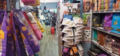 Dog-Mania & Cats photo 50