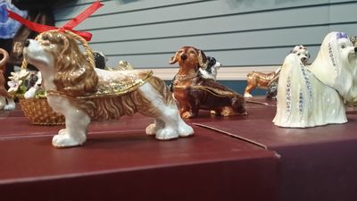 Dog-Mania & Cats photo 54