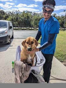 Dorian’s Mobile Pet Care (Ruff-Pup)