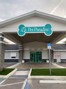 Pet Paradise Wesley Chapel photo 5