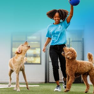 Pet Paradise Wesley Chapel photo 18