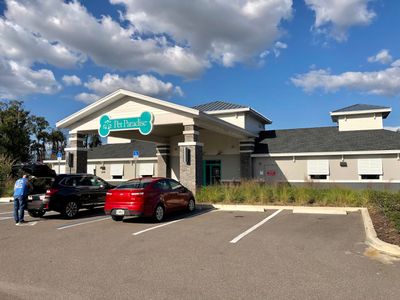 Pet Paradise Wesley Chapel photo 26