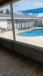 Pet Paradise Wesley Chapel photo 27