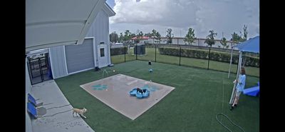 Pet Paradise Wesley Chapel photo 45