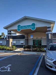 Pet Paradise Wesley Chapel photo 46