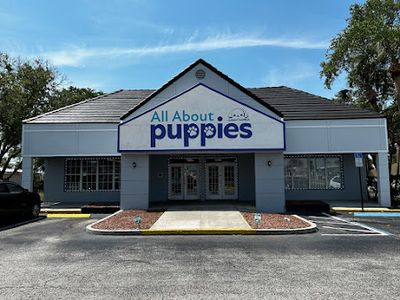 All About Puppies - Business Location
