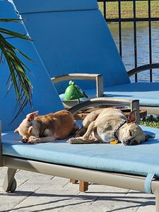 Woof Happens photo 10