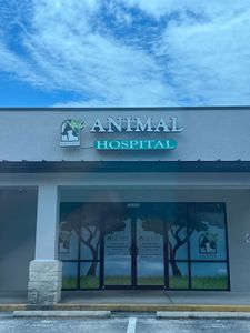 Southbay Animal Hospital photo 3