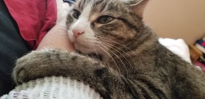 Southbay Animal Hospital photo 7