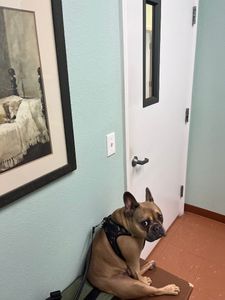 Southbay Animal Hospital photo 9