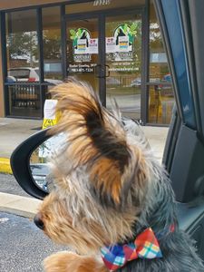 Southbay Animal Hospital photo 14