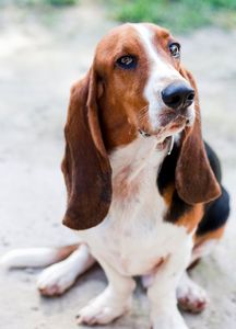 Southbay Animal Hospital photo 15