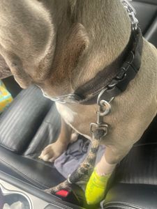 Southbay Animal Hospital photo 24