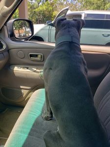 Southbay Animal Hospital photo 26