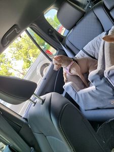 Southbay Animal Hospital photo 29