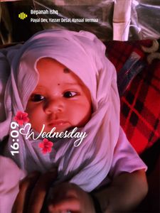 Discount Dumpster Services photo 26