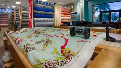 Boca Bargoons Naples photo 8